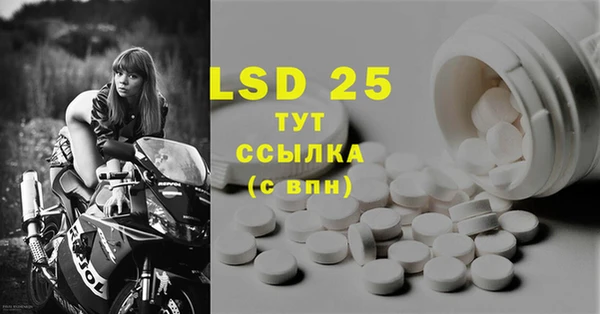 шишки Абаза