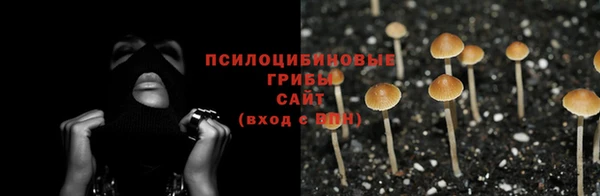 соль ск Алзамай