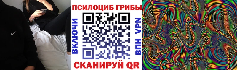 Галлюциногенные грибы прущие грибы  Куртамыш 
